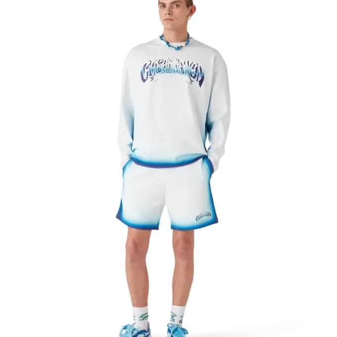 Blauw vervaagd T-shirt met lange mouwen