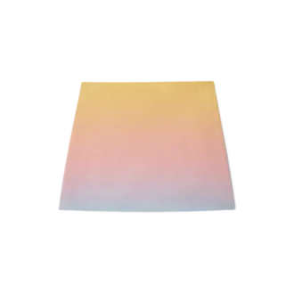 Ping Pong Gradient zijden rok