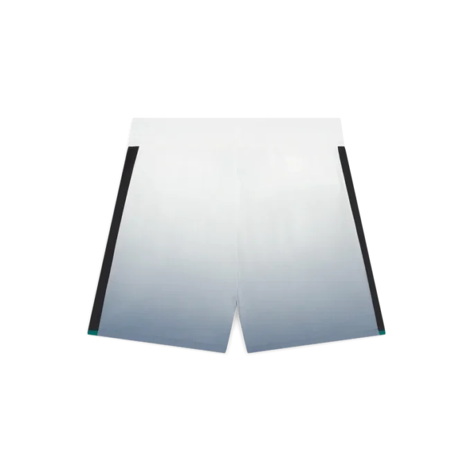 Zilveren shorts met kleurverloop